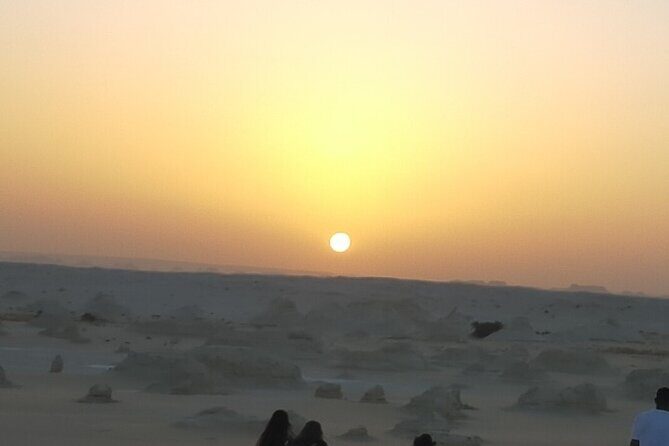 Sunset Camel Ride and Light Show from Cairo - Key Points