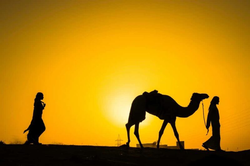 Sunset &camel ride and luxury dinner with fire show - Who Should Consider This Tour?