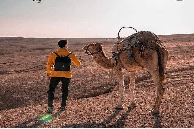 Sunset & Camel Ride & Dinner in Desert Agafay Marrakech - An In-Depth Look at the Tour