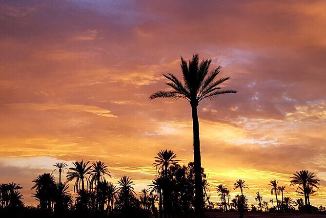 Sunset Camel Ride in Agadir or Taghazout With Transfers - The Scenic Itinerary and What to Expect