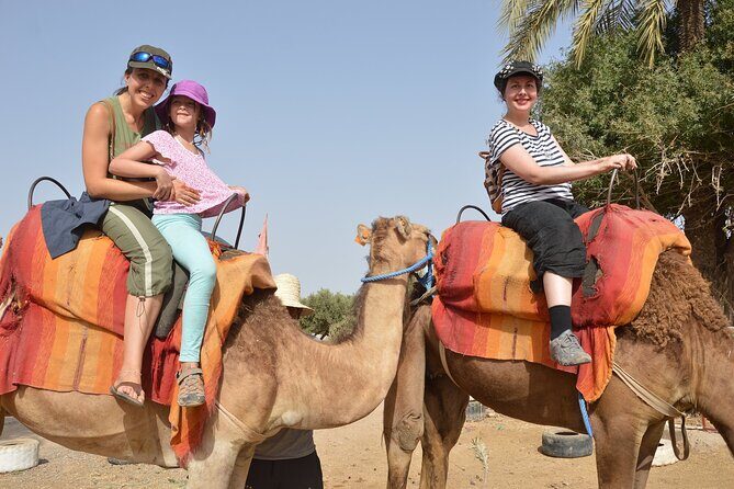 Sunset Camel Ride in Agadir or Taghazout With Transfers - The Sum Up: Who Will Love This Experience?