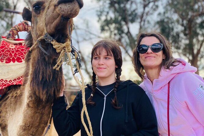 Sunset Camel Ride in Agadir with Dinner in Habitant House - The Sum Up: Is It Worth It?