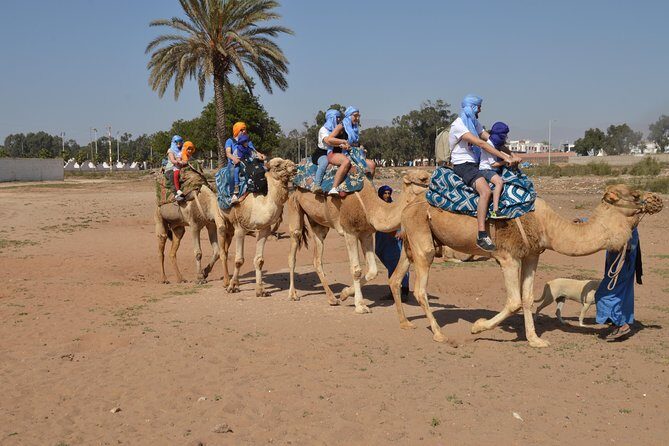 Sunset camel ride in Agadir with transport, tea and cakes. - What to Expect from the Sunset Camel Ride