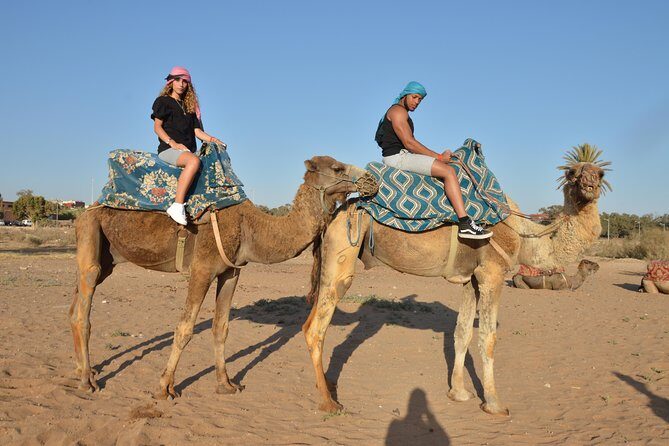 Sunset camel ride in Agadir with transport, tea and cakes. - What Do Travelers Say?