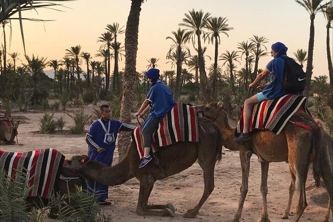 Sunset Camel Ride In Marrakech Palm Grove - An In-Depth Look at the Marrakech Sunset Camel Ride