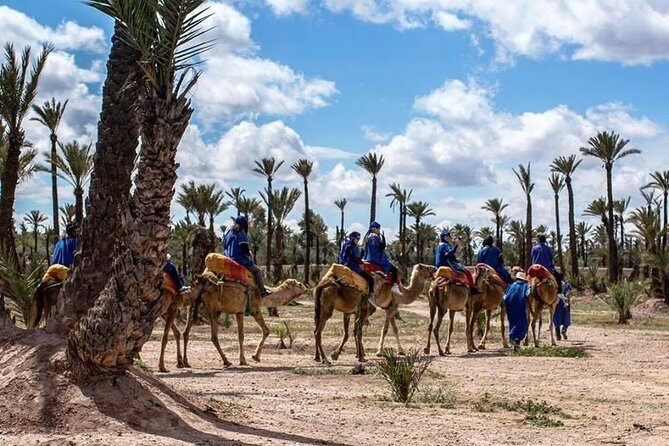 Sunset Camel Ride In Marrakech Palm Grove - Final Thoughts