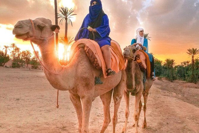 Sunset Camel Ride In Marrakech Palm Grove - FAQ