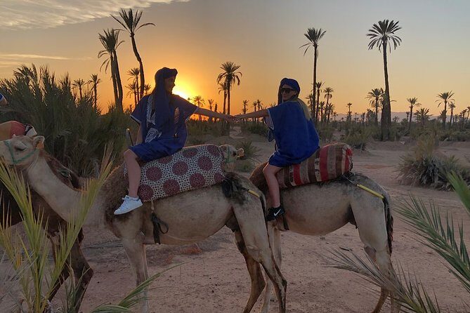 Sunset Camel Ride in the Palm Grove of Marrakech - An In-Depth Look at the Sunset Camel Ride Experience
