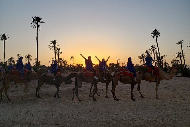 Sunset Camel Ride in the Palm Grove of Marrakech - Who Will Love This Tour?