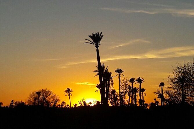 Sunset Camel Ride in the Palm Grove of Marrakech - Frequently Asked Questions