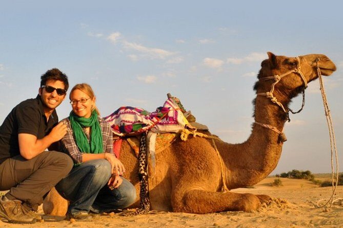Sunset Camel Ride Including BBQ Dinner From Ras Al Khaimah - Key Points