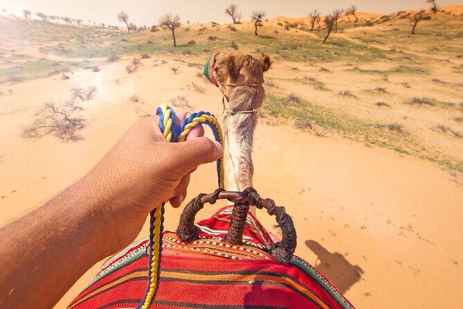 Sunset Camel Ride Including BBQ Dinner From Ras Al Khaimah - Final Thoughts: The Real Value of This Desert Evening