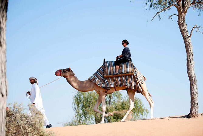Sunset Camel Ride Including BBQ Dinner From Ras Al Khaimah - FAQ