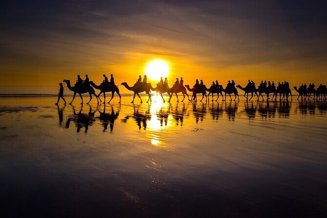 Sunset Camel Ride on Achakkar Beach - Key Points