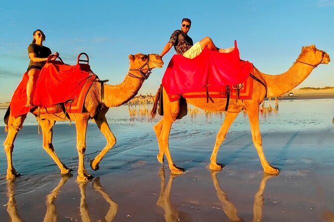 Sunset Camel Ride on Achakkar Beach - Final Thoughts