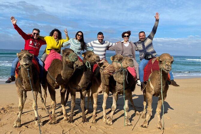 Sunset Camel Ride on Achakkar Beach including Traditional Dinner - Authenticity and Value