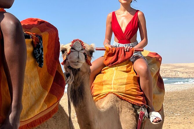 Sunset Camel Ride tour with Barbecue dinner in the beach - The Sum Up