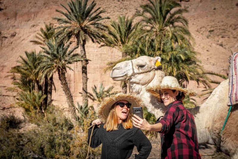 Sunset Camel Ride with an Authentic Dinner in an Oasis - Key Points