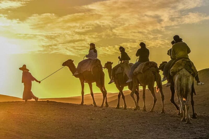 Sunset Camel Ride with an Authentic Dinner in an Oasis - An Authentic Moroccan Experience with a Gentle Adventure