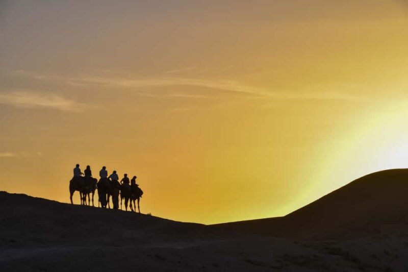 Sunset Camel Ride with an Authentic Dinner in an Oasis - Authenticity and Reviews