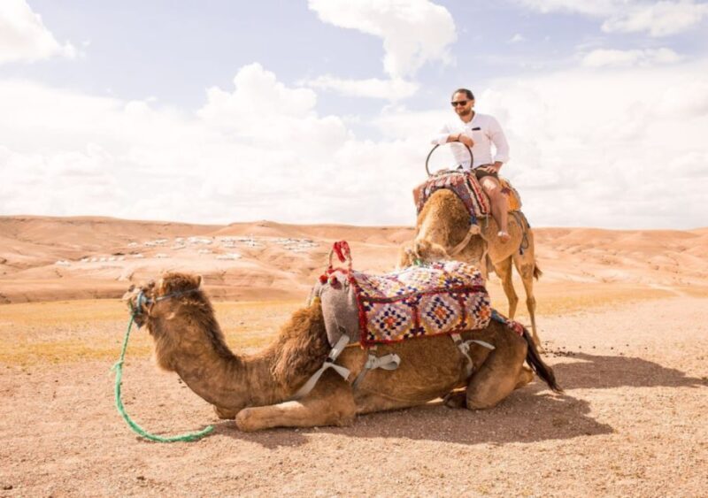 Sunset Camel Riding in Agafay Desert & Dinner in Chouf L'Or - Logistics and Practicalities