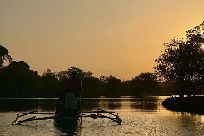 Sunset Canoe Tour on a River within the Mangroves - Authentic Reviews and Real Experiences