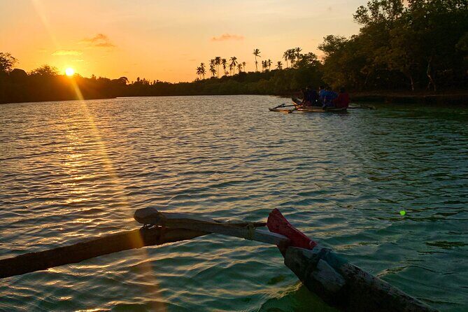 Sunset Canoe Tour on a River within the Mangroves - Who Will Love This Tour?