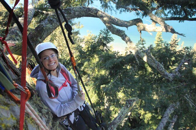 Sunset Canopy Climb on Lopez Island - An Overview of the Experience