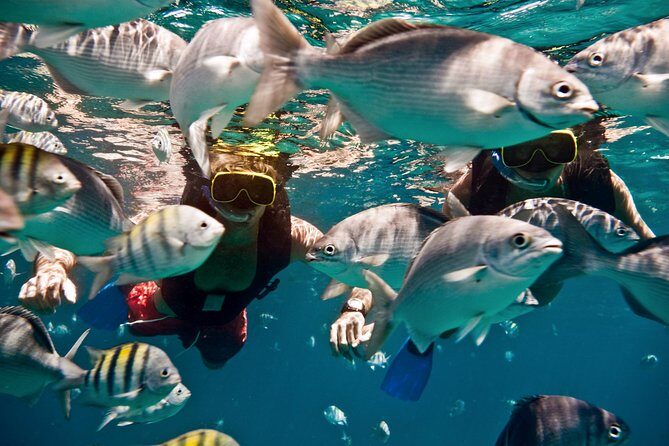 Sunset Catamaran and Snorkeling Cruise At Carlisle Bay - An Overview of the Experience