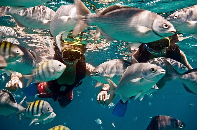 Sunset Catamaran and Snorkeling Cruise At Carlisle Bay - FAQs