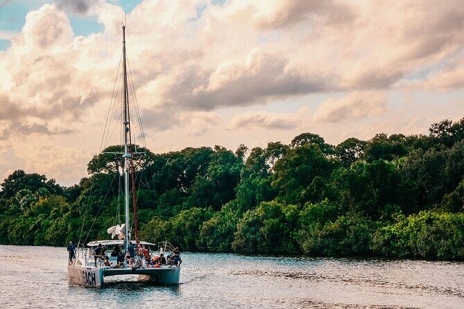 Sunset Catamaran Sail in Cocoa Beach - What Makes This Tour Stand Out?