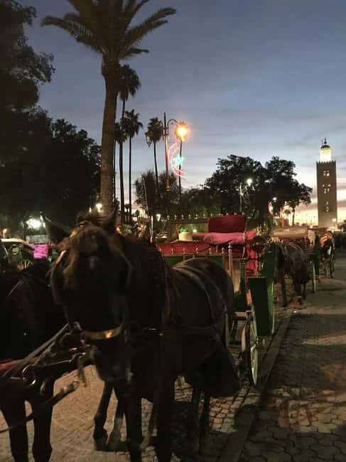 Sunset City Tour : Souks & Medina with Caleche by Night - Practical Details: What You Need to Know