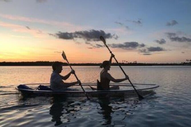 Sunset Clear Kayak or Clear Paddleboard in Orlando - What Previous Guests Say