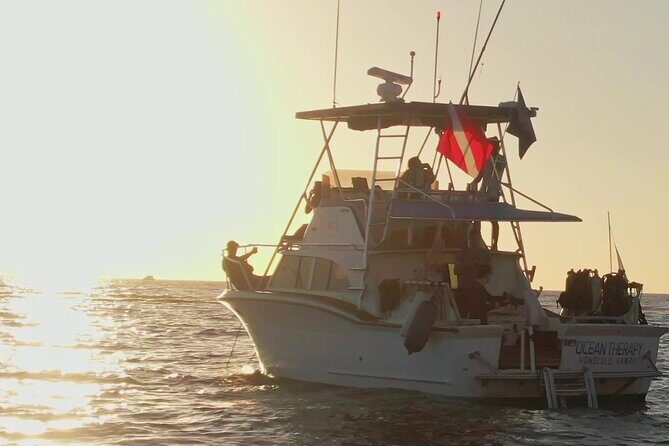 Sunset Cruise along Waikiki Coastline - Who Should Consider This Sunset Cruise?
