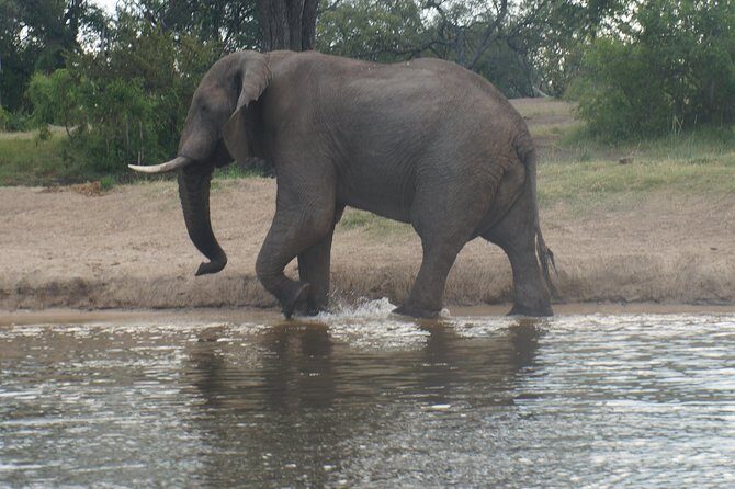 Sunset Cruise & Game Drive Combo Experience - MINIMUM 2 PEOPLE - The Itinerary: What to Expect