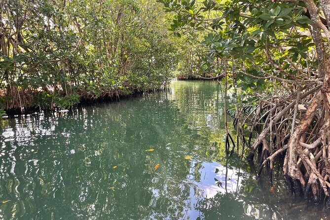 SUNSET CRUISE in Key Largo,FL. - What Travelers Say