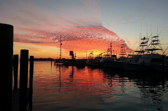 Sunset Cruise Key Largo-Option to Snorkel - Practical Details and What to Expect