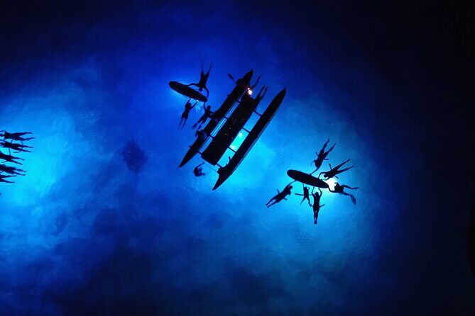 Sunset Cruise & Manta Night Snorkeling Charter - The Sum Up