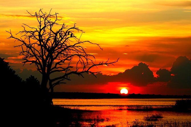 Sunset Cruise on Chobe River with Hotel Pickup from Kasane - Key Points