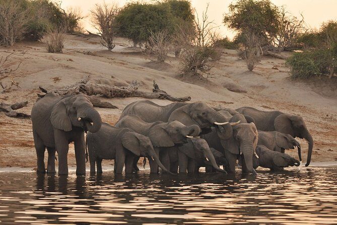 Sunset Cruise on Chobe River with Hotel Pickup from Kasane - An In-Depth Look at the Experience