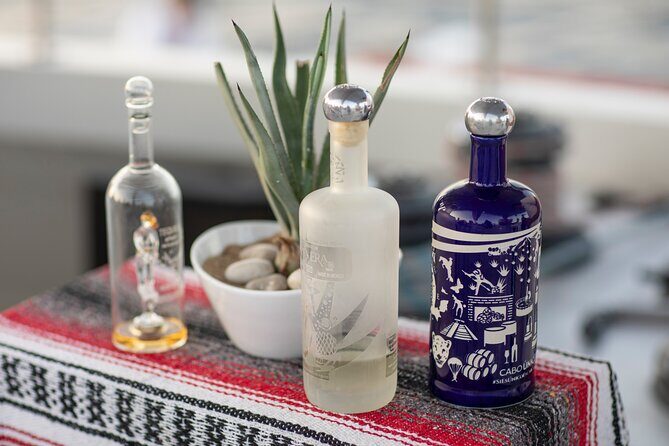 Sunset Cruise Tequila Tasting - What to Expect on Your Sunset Cruise and Tequila Tasting
