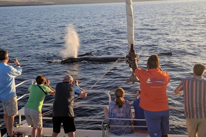 Sunset Cruise with the Whales from Anaeho'omalu Bay - An In-Depth Look at the Experience