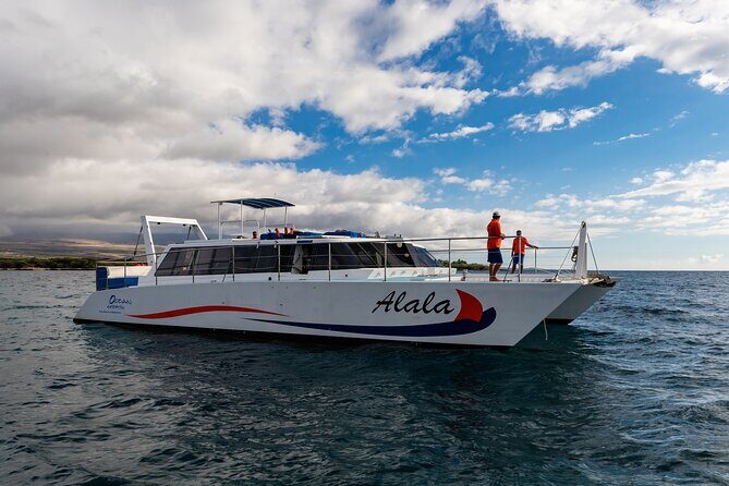 Sunset Cruise with the Whales from Kawaihae Harbor - An Overview of the Experience