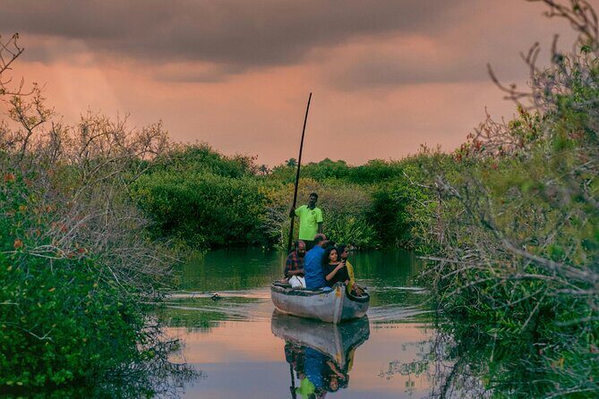 Sunset Cruise with Village Life and Local Food - Who Will Love This Tour?
