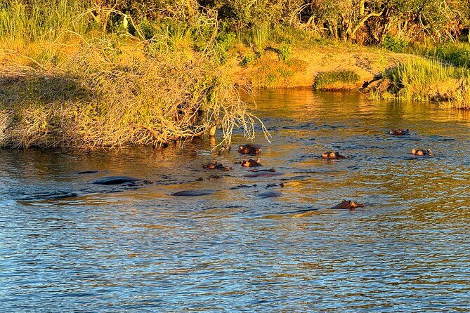Sunset Cruises on the Zambezi River from Victoria Falls - An In-Depth Look at the Zambezi River Sunset Cruise