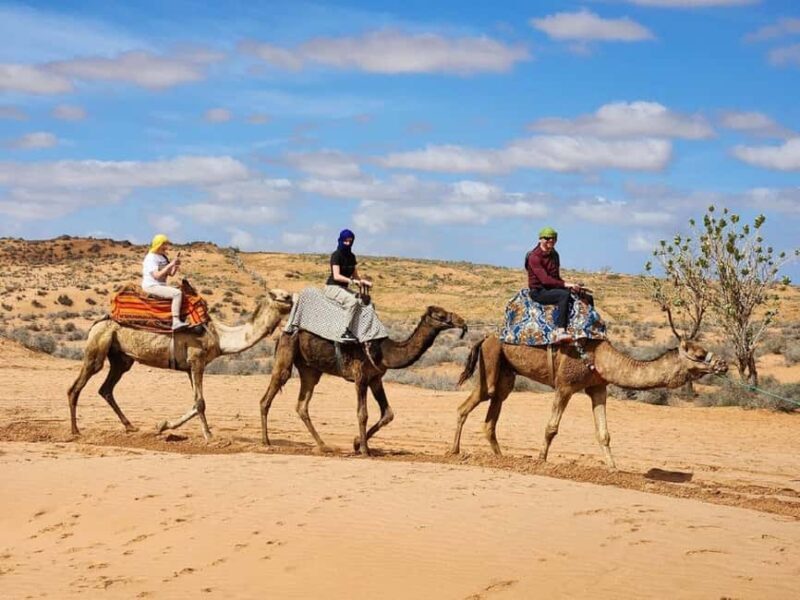 Sunset Desert Camel Ride with Sandboarding and BBQ Dinner - Practical Tips for Travelers