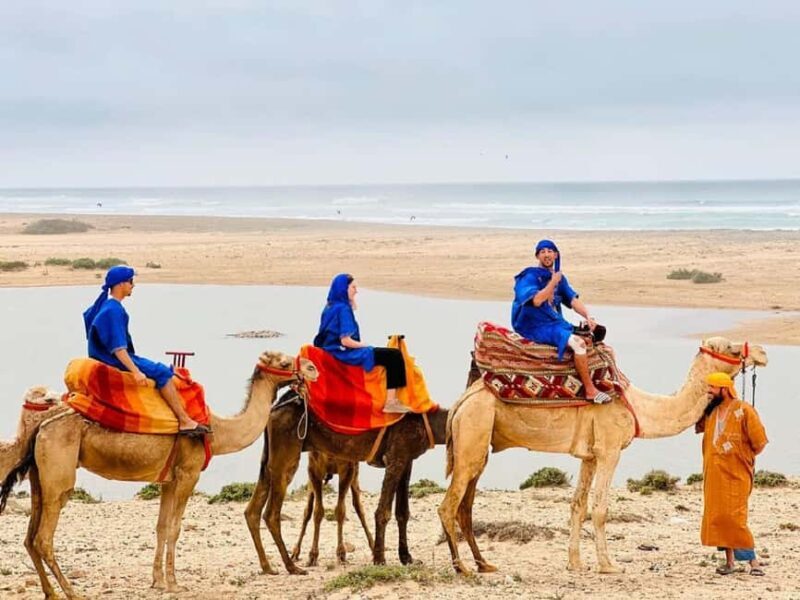Sunset Desert Camel Ride with Sandboarding and BBQ Dinner - Who Will Love This Experience?