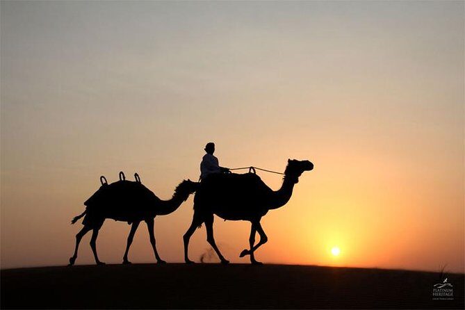 Sunset Desert Safari Dubai with BBQ Dinner - A Deep Dive into the Desert Adventure