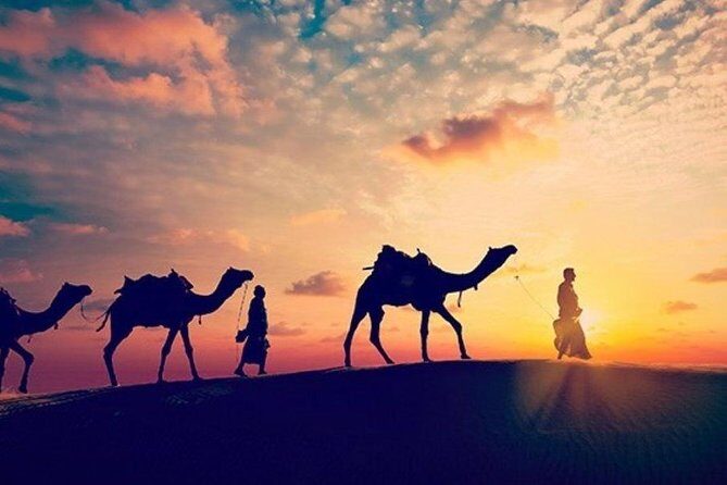 Sunset Desert Safari Trip By Quad Bike from Marsa Alam - What We Think About the Value