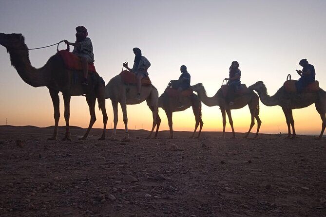 Sunset Dinner & Camel Ride in Agafay desert - A Detailed Look at the Experience